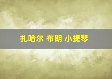 扎哈尔 布朗 小提琴